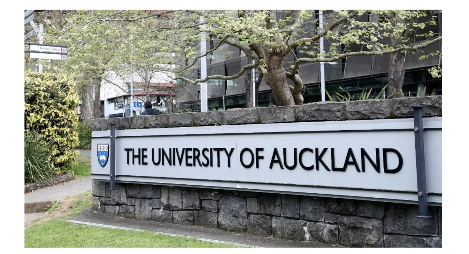 Best Universities in New Zealand